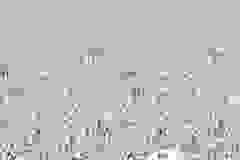 401405738_772040281623918_8670094785396801706_n