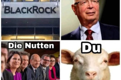 418185_pfr37p9hbfj7nqy_full