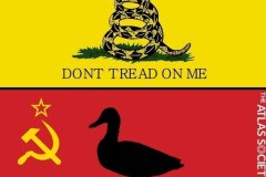 F_UbzxCWcAAIMCb